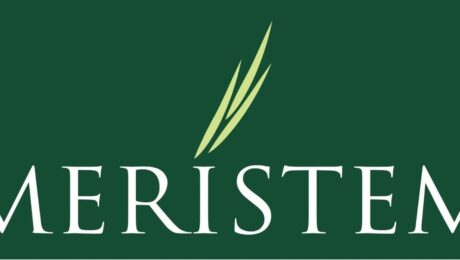 Meristem Securities Limited - Nominated for Investor of the Year at the MOI Awards